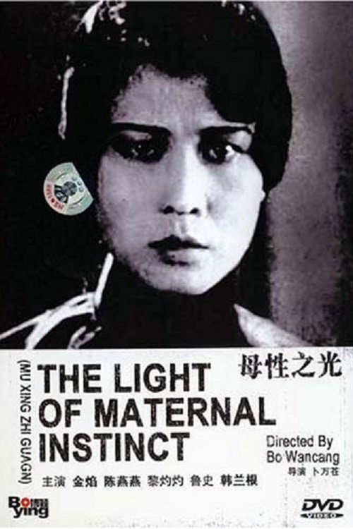 Póster de 母性之光