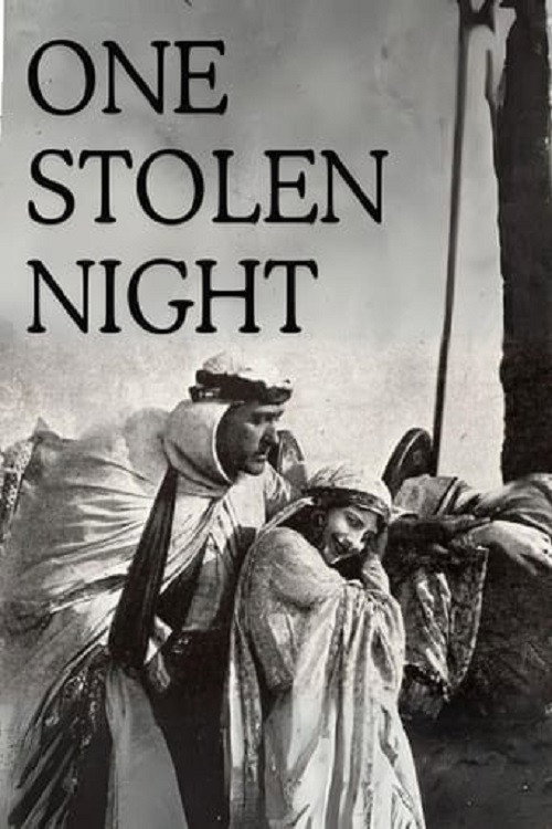 Póster de One Stolen Night