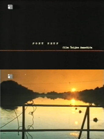Póster de Pont Neuf
