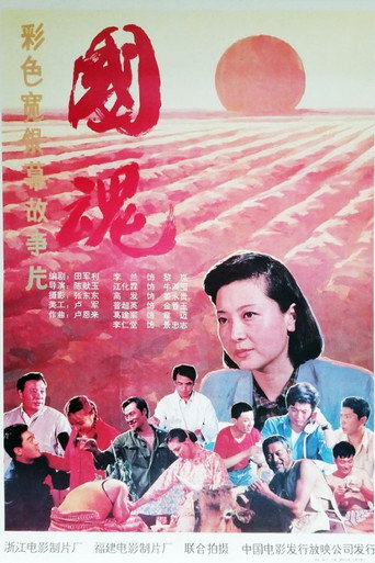 Póster de 国魂