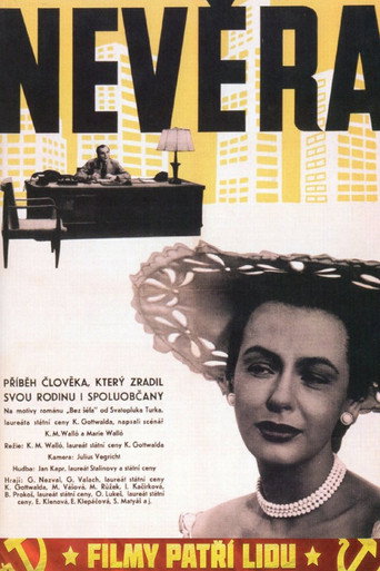 Póster de Nevěra