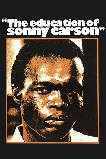 Póster de The Education of Sonny Carson