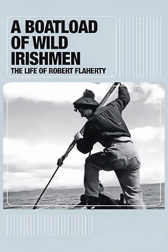 Póster de A Boatload of Wild Irishmen