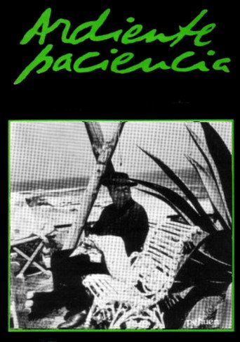 Póster de Ardiente paciencia