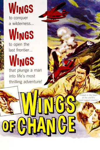 Póster de Wings of Chance