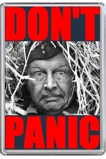 Póster de Don't Panic: The Dad's Army Story