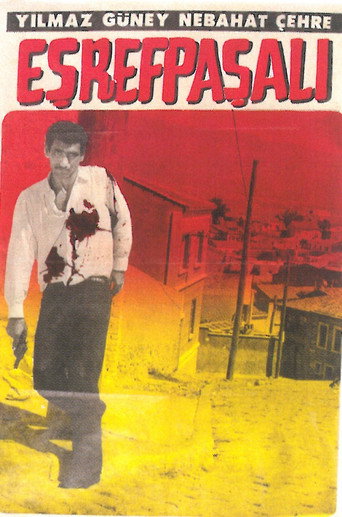 Póster de Eşrefpaşalı