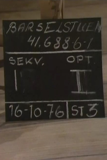 Póster de Barselstuen