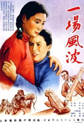 Póster de 一场风波