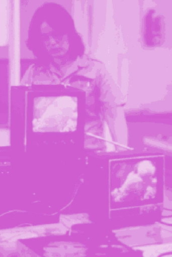 Póster de Not For Sale: Feminism and Art in the USA during the 1970s