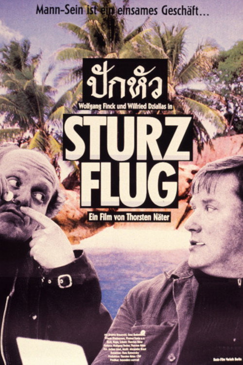 Póster de Sturzflug