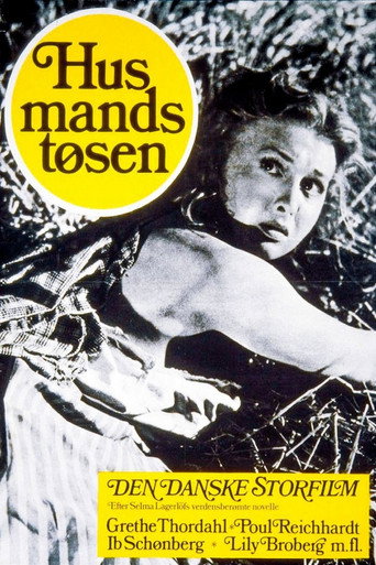 Póster de Husmandstøsen