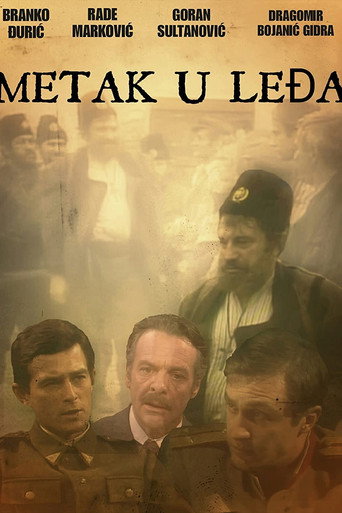 Póster de Metak u leđa