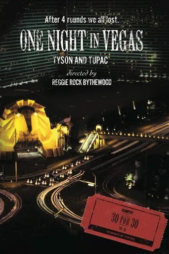 Póster de One Night in Vegas