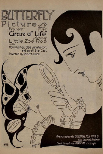 Póster de The Circus of Life