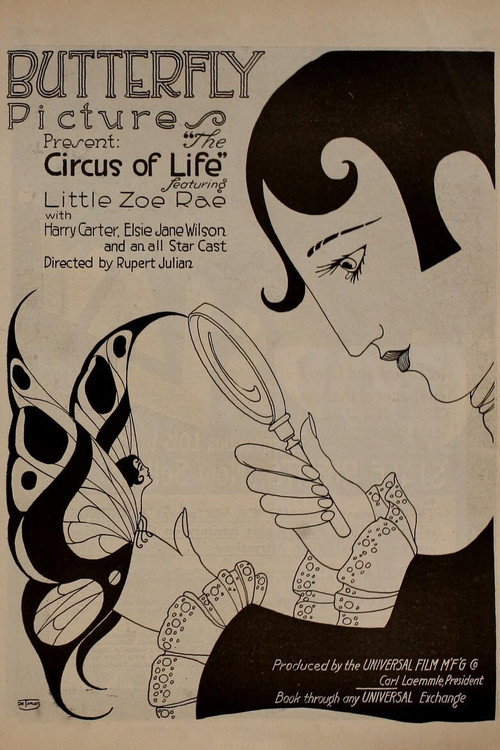 Póster de The Circus of Life