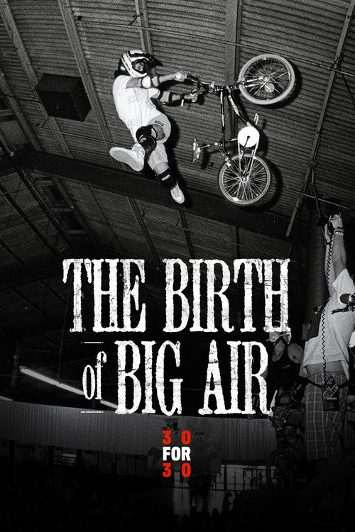 Póster de The Birth of Big Air