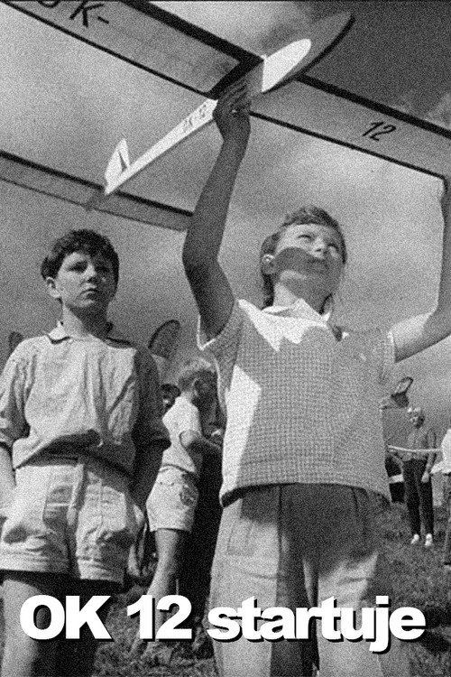 Póster de OK 12 startuje