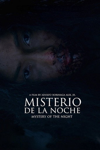 Póster de Misterio de la Noche