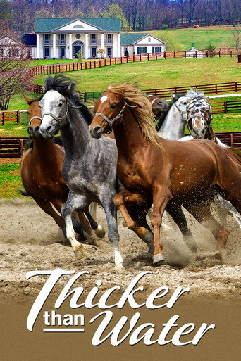 Póster de Thicker Than Water