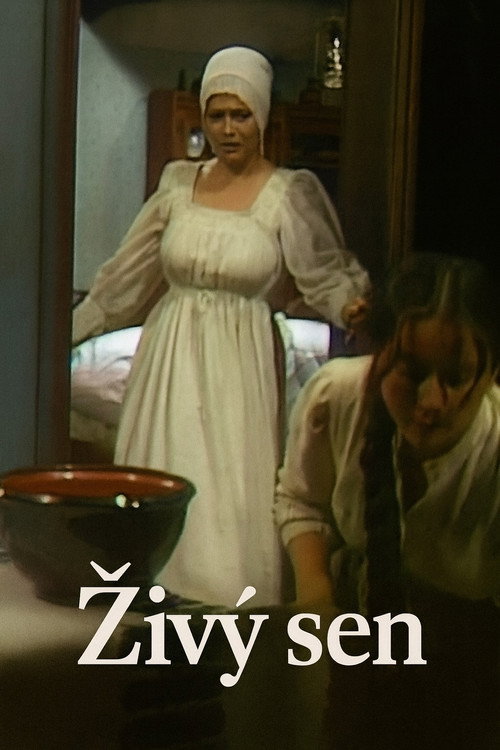 Póster de Živý sen