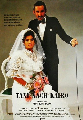 Póster de Taxi nach Kairo