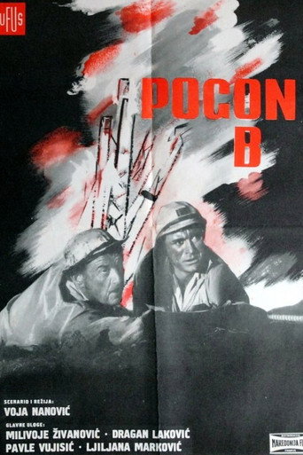 Póster de Pogon B