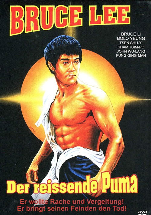 Póster de La imagen de Bruce Lee