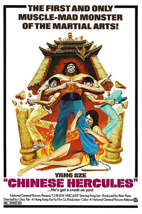 Póster de 码头大决斗
