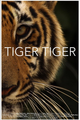 Póster de Tiger Tiger