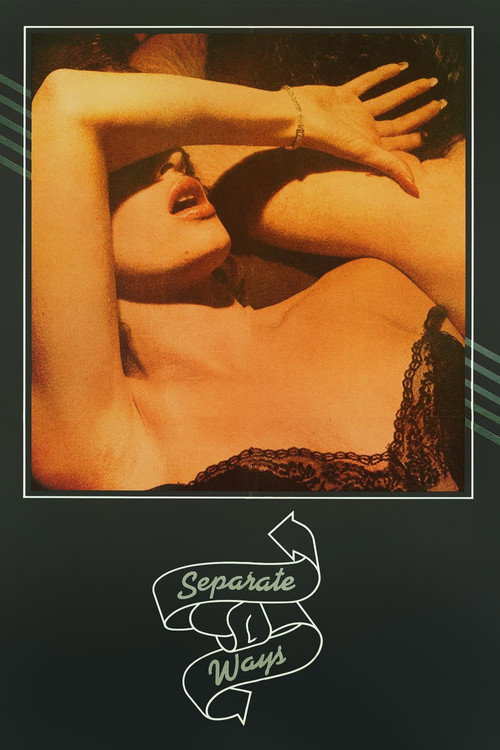 Póster de Separate Ways