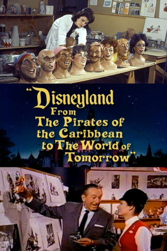 Póster de Disneyland: From the Pirates of the Caribbean to the World of Tomorrow
