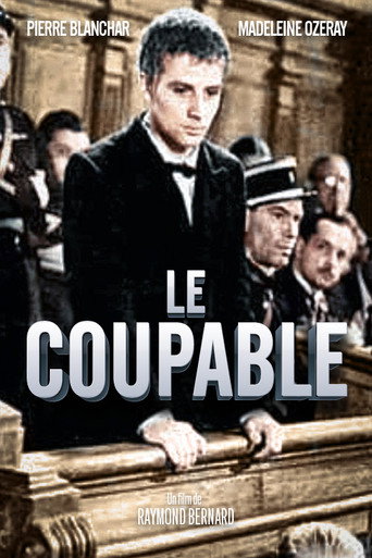Póster de Le Coupable