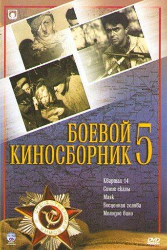 Póster de Боевой киносборник №5
