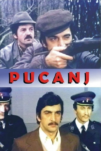 Póster de Pucanj