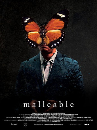 Póster de Malleable