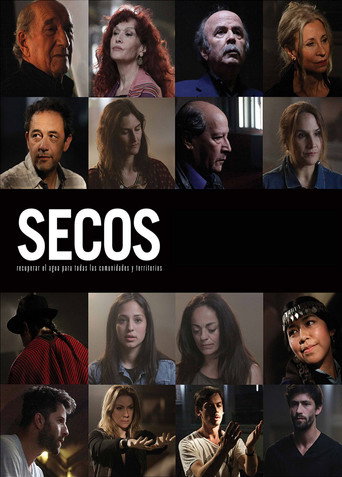 Póster de Secos