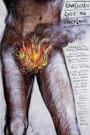 Póster de Kawalerskie życie na obczyźnie