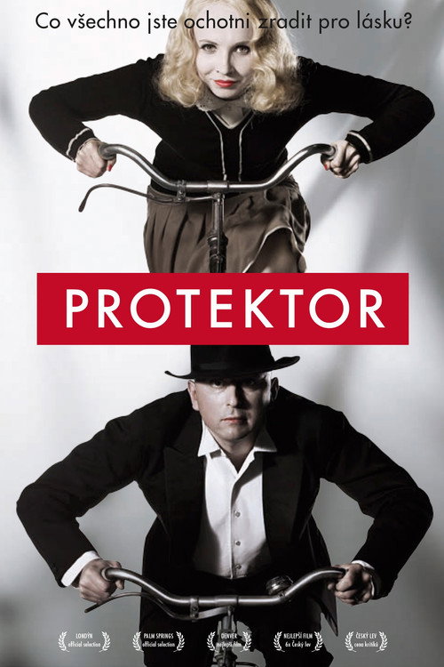 Póster de Protektor