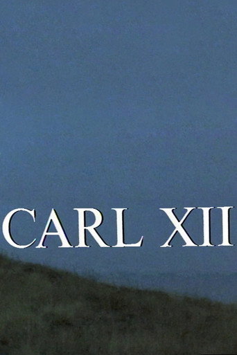Póster de Karl XII