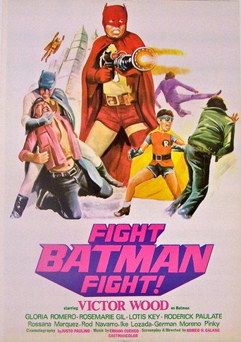 Póster de Fight Batman, Fight!