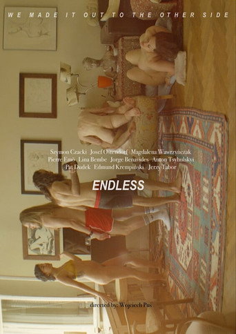 Póster de Endless