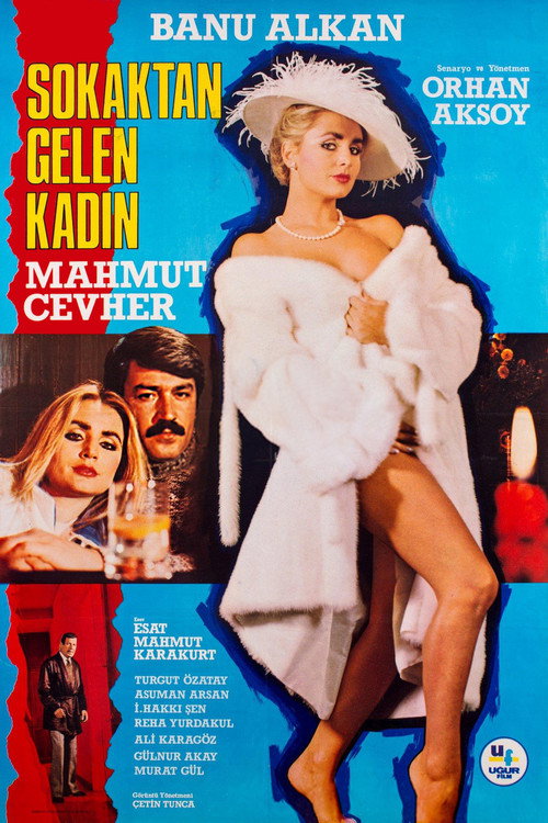 Póster de Sokaktan Gelen Kadın