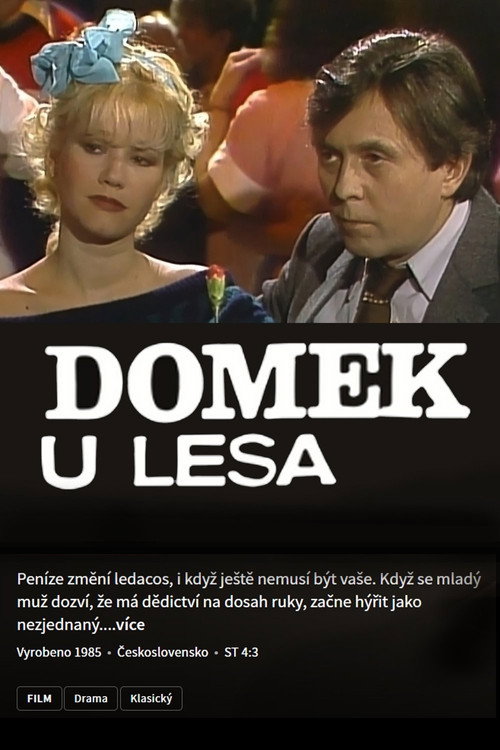 Póster de Domek u lesa