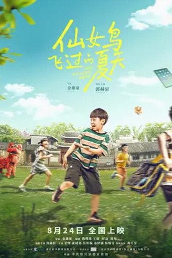 Póster de 仙女鸟飞过的夏天