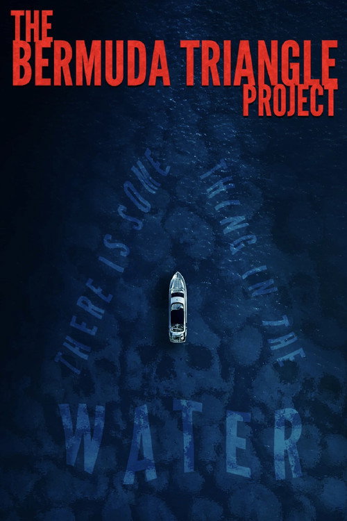 Póster de The Bermuda Triangle Project
