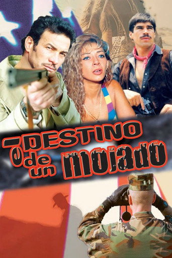 Póster de El destino de un mojado