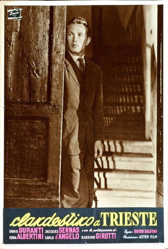 Póster de Clandestino a Trieste