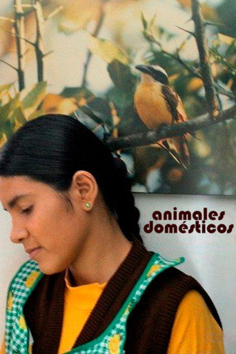 Póster de Animales Domésticos