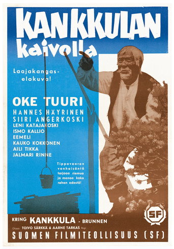 Póster de Kankkulan kaivolla